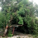 Botucatu com alerta de perigo: INMET alerta para queda de temperatura e vendaval no interior de SP