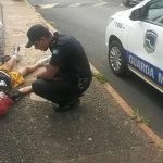 GCM atendeu mais de 400 ocorrências no período de Carnaval. 35 foram por perturbação do sossego