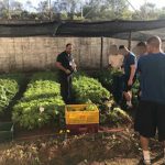 Fundação CASA de Botucatu faz parceria com o IFSP de Avaré e Banco de Alimentos