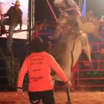 Anhembi faz 4 dias de rodeio e shows de 12 a 15 de setembro