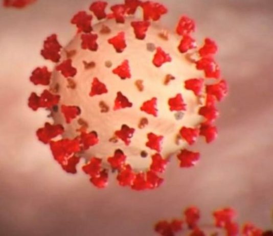 Grupo de comerciantes protesta contra lockdown