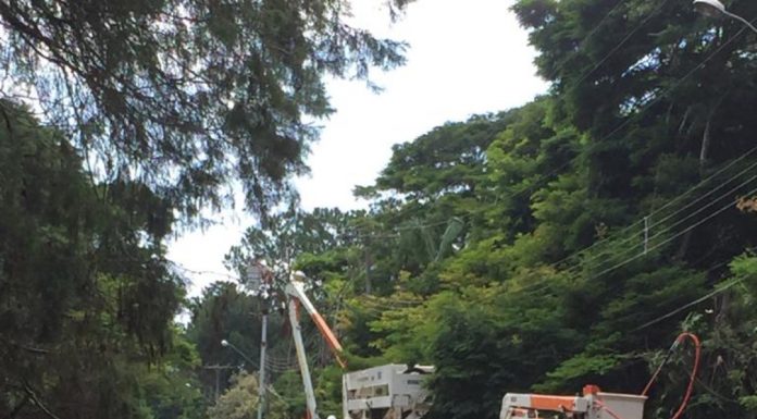 Agora vai? CPFL mobiliza gerentes e coordenadores para reunião na Prefeitura