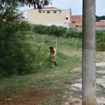 Decreto obriga limpeza de terrenos baldios e impõe multa. Medida é para combater a dengue