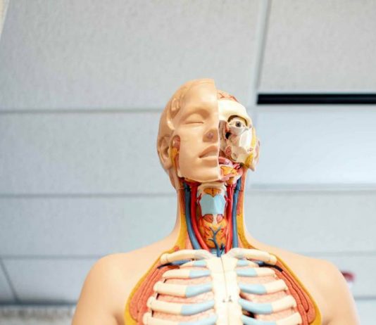 Unesp: Edital seleciona propostas educativas para letramento científico voltadas para espaços museológicos e centros de ciências