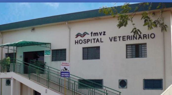 Hospital Veterinário da Unesp de Botucatu muda o horário de atendimento a partir da próxima semana