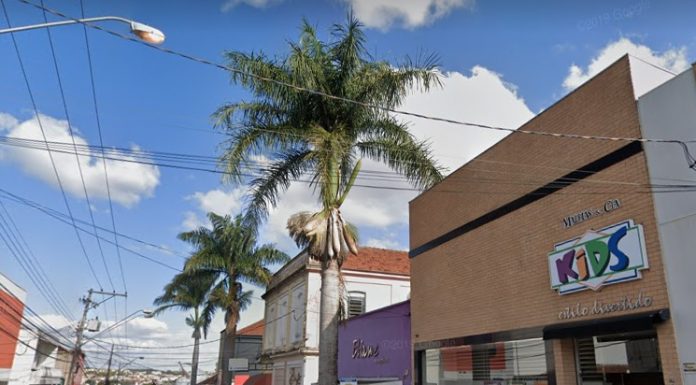Botucatu: Palmeiras Imperiais da Rua Major Matheus correm o risco de serem cortadas. Empresários e moradores da região querem salvar as árvores