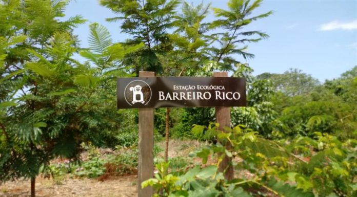 Distribuidora de energia é obrigada a adotar medidas de proteção ambiental em Anhembi, sob pena de multa diária de R$ 10 mil