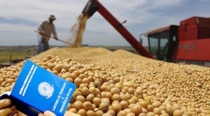Botucatu: Agropecuária puxa ritmo de contratações na Cidade, que teve o maior saldo de emprego em 16 meses