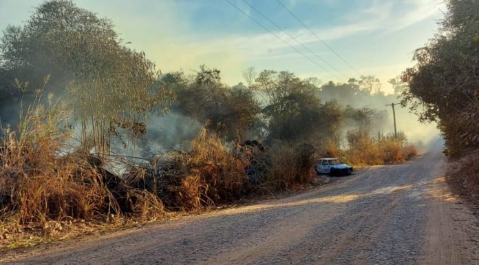 Incêndio que começou em veículo consome cerca de 30 mil m² de estação ecológica em Anhembi