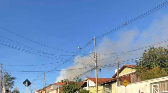Botucatu: Dois cachorros e três gatos morrem em incêndio em residência na região do Jardim Paraíso