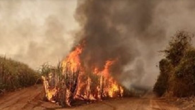 Fogo no Araquá, entre Botucatu e São Manuel, coloca ponte e casas em risco. Moradores usam baldes com água para conter chamas