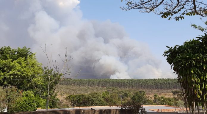 Botucatu: População sofre com diversos focos de queimadas pela Cidade