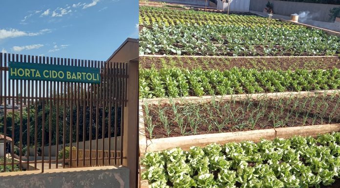 Botucatu: De pai para filhos – Horta do Cido Bartoli é reaberta e mantém a tradição da família na Vila Aparecida
