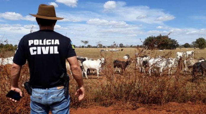 Botucatu: Polícia Civil esclarece furtos de gado e prende cinco criminosos