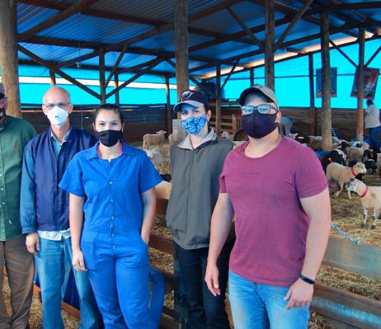 Botucatu: Faculdade de Medicina Veterinária e Zootecnia da Unesp sedia 20º Campeonato Cordeiro Paulista