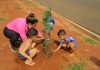Botucatu: Mais de 70 árvores foram plantadas no Bem Te Vi pela parceria entre os moradores e a Prefeitura