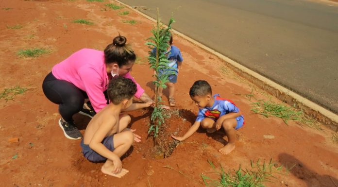 Botucatu: Mais de 70 árvores foram plantadas no Bem Te Vi pela parceria entre os moradores e a Prefeitura