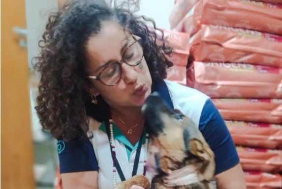 Botucatu: Filhote esfaqueado pelo dono recebe o nome de Raul, em homenagem ao PM que o salvou