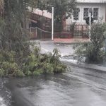 Botucatu: Motoristas devem evitar pontos de alagamento; quedas de árvores interditam ruas da cidade