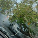 Botucatu: Bairros ficam sem energia após tempestade nesta quarta, 27; chuva e quedas de árvores afetaram a rede elétrica