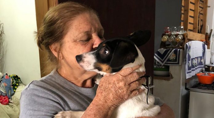 Botucatu: Cão com problemas neurológicos abandonado em porta de clínica veterinária ganha nova família