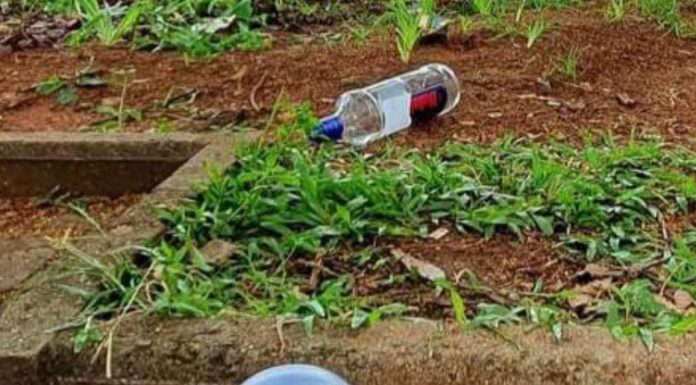 Botucatu: Audiência Pública na Câmara debateu a restrição de consumo de bebida alcoólica em praças e espaços públicos