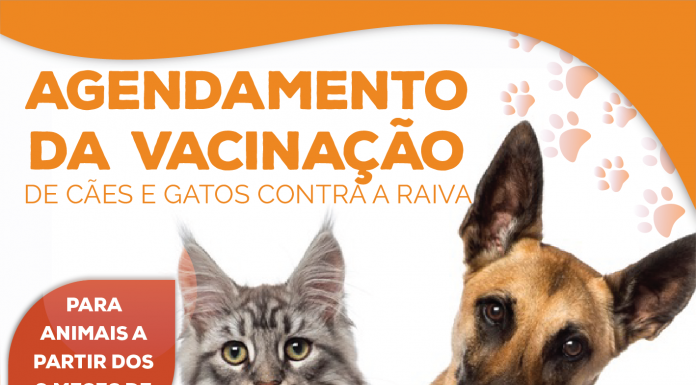 Botucatu abre agendamento para vacinação de cães e gatos contra a raiva; saiba como participar