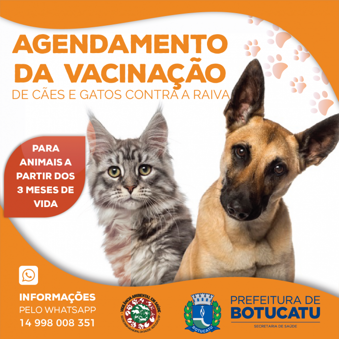 258870570-1892312807620434-8328565428743510400-n