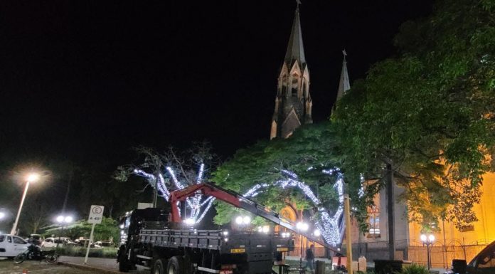 Botucatu já está no clima de Natal e árvores de praças estão recebendo iluminação