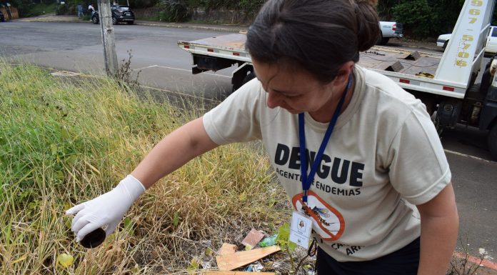 Botucatu: Com 55 casos de dengue e 1 de Chikungunya no ano, Vigilância intensifica fiscalização
