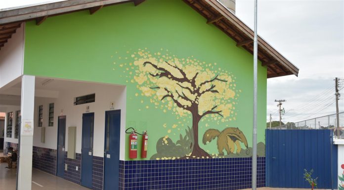 Botucatu: Paredes de Escola do Monte Mor ganham desenhos de artista plástica
