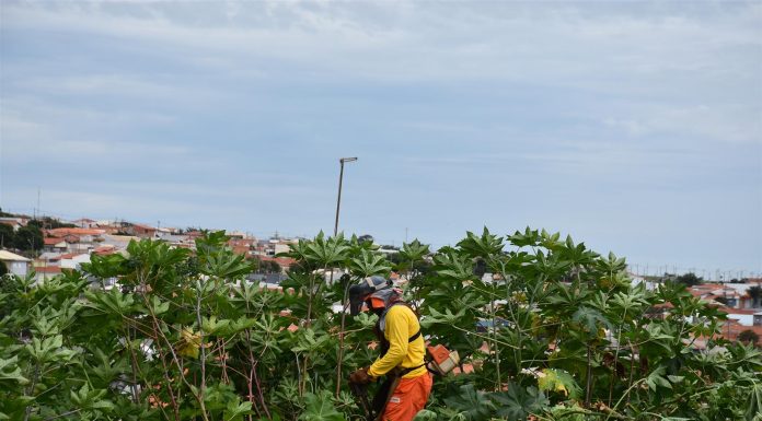 Botucatu: Prefeitura publica decreto que dá prazo de 10 dias para limpeza de terrenos. Multa é de R$ 5,50 por m²