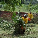 Botucatu: Moradores que não limparem terrenos serão multados