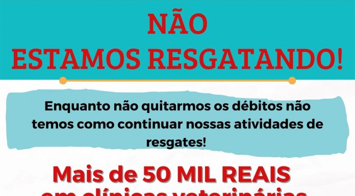 Botucatu: Liga do Bem não fará resgates de animais até quitar dívida de mais de R$ 50 mil com clínicas veterinárias e pede ajuda