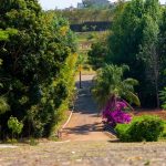 Botucatu: Parque Memorial Botucatu conta com 10 mil mudas nativas, 3 km de ruas para circulação de veículos, duas fontes e três pontes