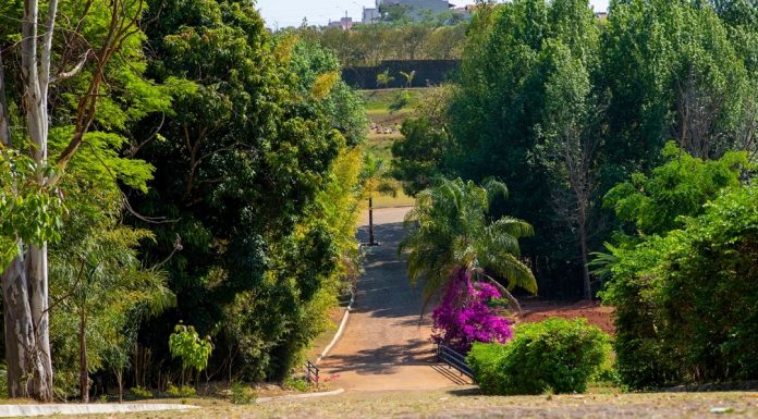 Botucatu: Parque Memorial Botucatu conta com 10 mil mudas nativas, 3 km de ruas para circulação de veículos, duas fontes e três pontes
