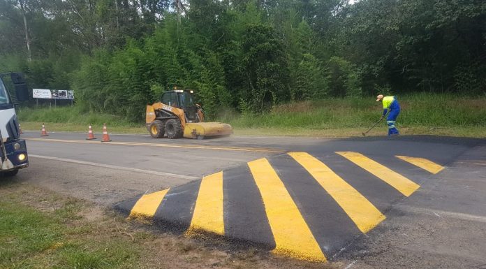 Botucatu: Após mortes de tamanduás, lombada é instalada na Rodovia Gastão Dal Farra