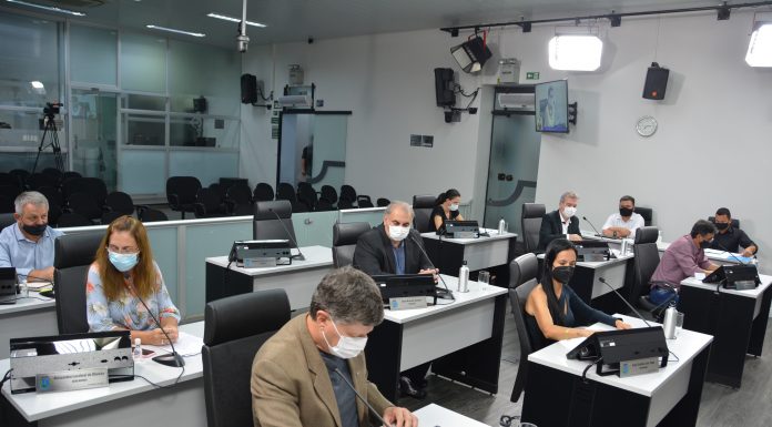Botucatu: Aprovado Projeto sobre o bem-estar dos Animais Domésticos, que trata do controle populacional de cães e gatos