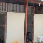 Botucatu: Lei vai punir e multar maus-tratos a animais domésticos