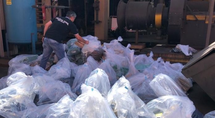Botucatu: Quase duas toneladas de drogas foram incineradas pela Polícia Civil