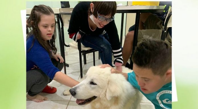 APAE Botucatu utiliza da Pet Terapia para desenvolvimento dos usuários e apresenta o novo mascote “Chicão”