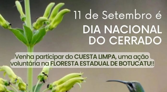 Botucatu: 6ª edição do Cuesta Limpa acontecerá no domingo, 11, na Floresta Estadual de Botucatu