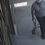 Botucatu: Mulher é flagrada por câmera de segurança furtando planta de jardim; prática considerada comum é crime e passível de detenção