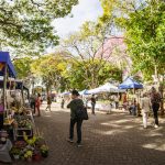 Botucatu: Inscrições abertas para Festival de Aves e Feira Turística