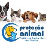 Botucatu passa a ter Departamento de Proteção Animal