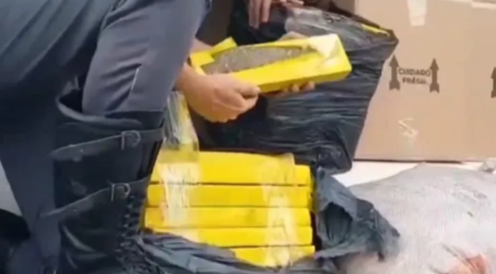Polícia de Botucatu apreende quase duas toneladas de maconha na Castello; Motorista foi preso
