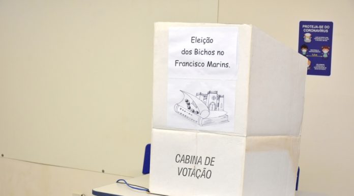 Botucatu: Macaca é a mais votada e vence Leão em Projeto sobre Democracia com Eleição, na Escola Francisco Marins