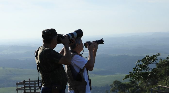 Botucatu: Passarinhada atrai e encanta visitantes na Cuesta