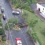 Botucatu: Árvore cai durante chuva e interdita Rua no Centro