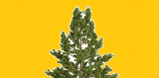 As espécies exóticas invasoras representam um perigo á biodiversidade As espécies exóticas invasoras representam um perigo á biodiversidade